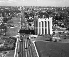 Hancock Park - Rimpau Blvd 1949